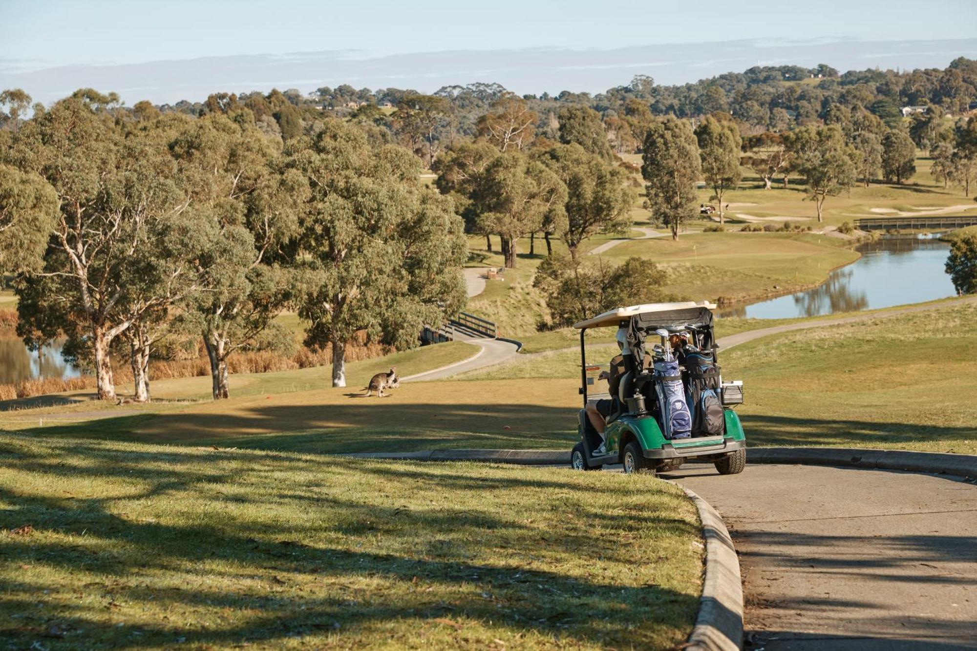 וונגה פארק Yarra Valley Lodge מראה חיצוני תמונה